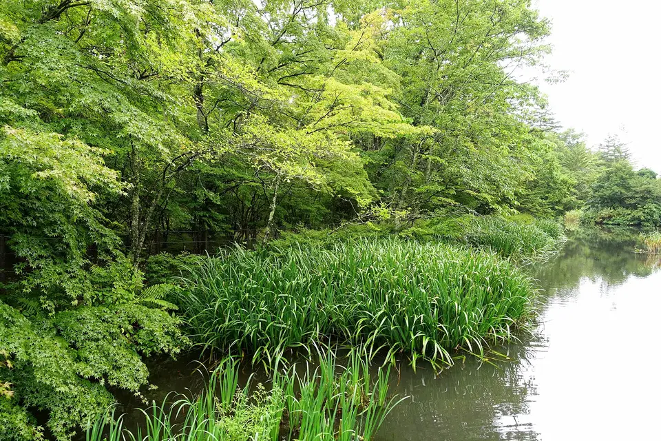 軽井沢の森のヴィラ