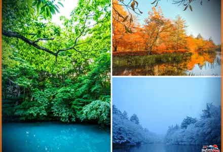 Kumoba Pond and the cool nature of Karuizawa