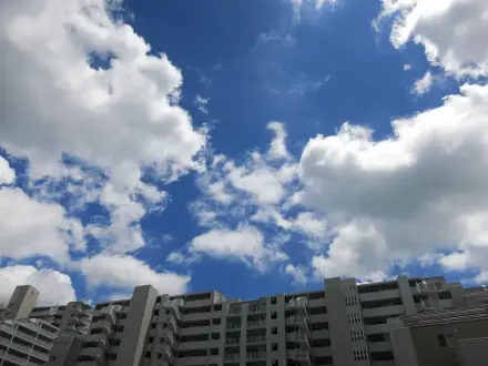 Conseils pour l'été japonais
